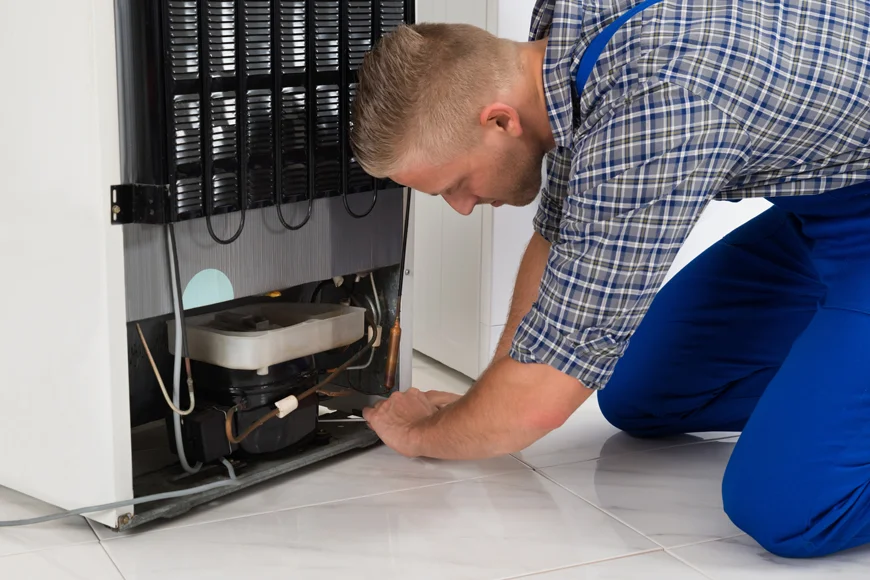 Belmont Refrigerator repair